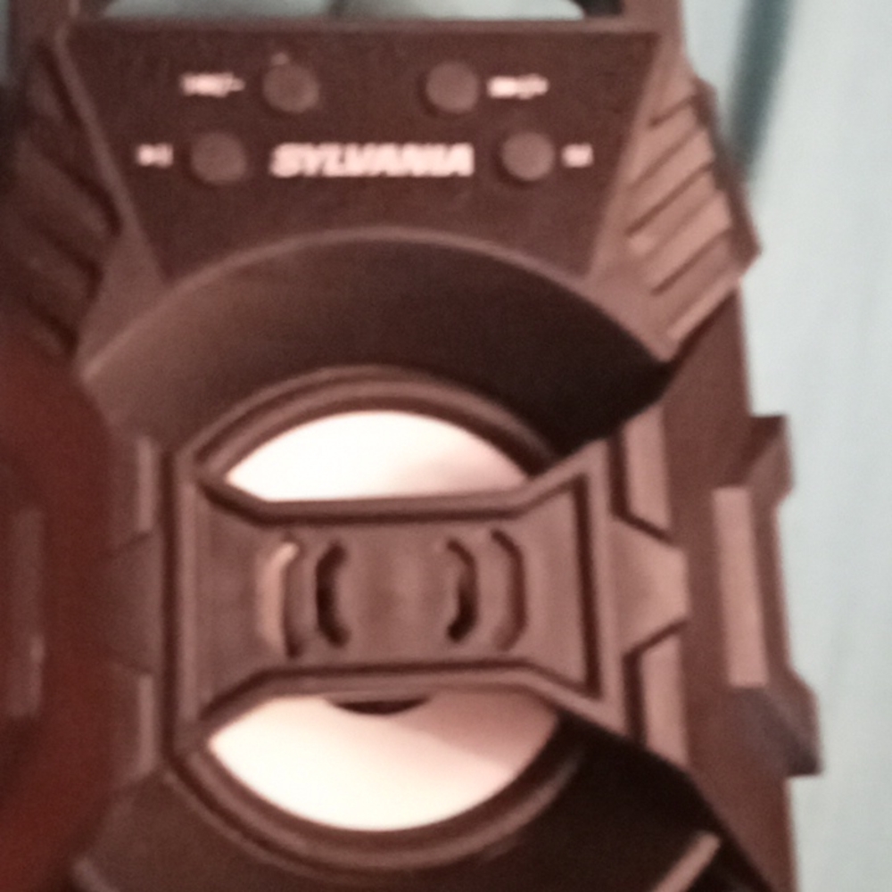 Speaker